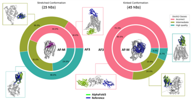 Kinked CDR3 loops are more difficult to predict than extended loops