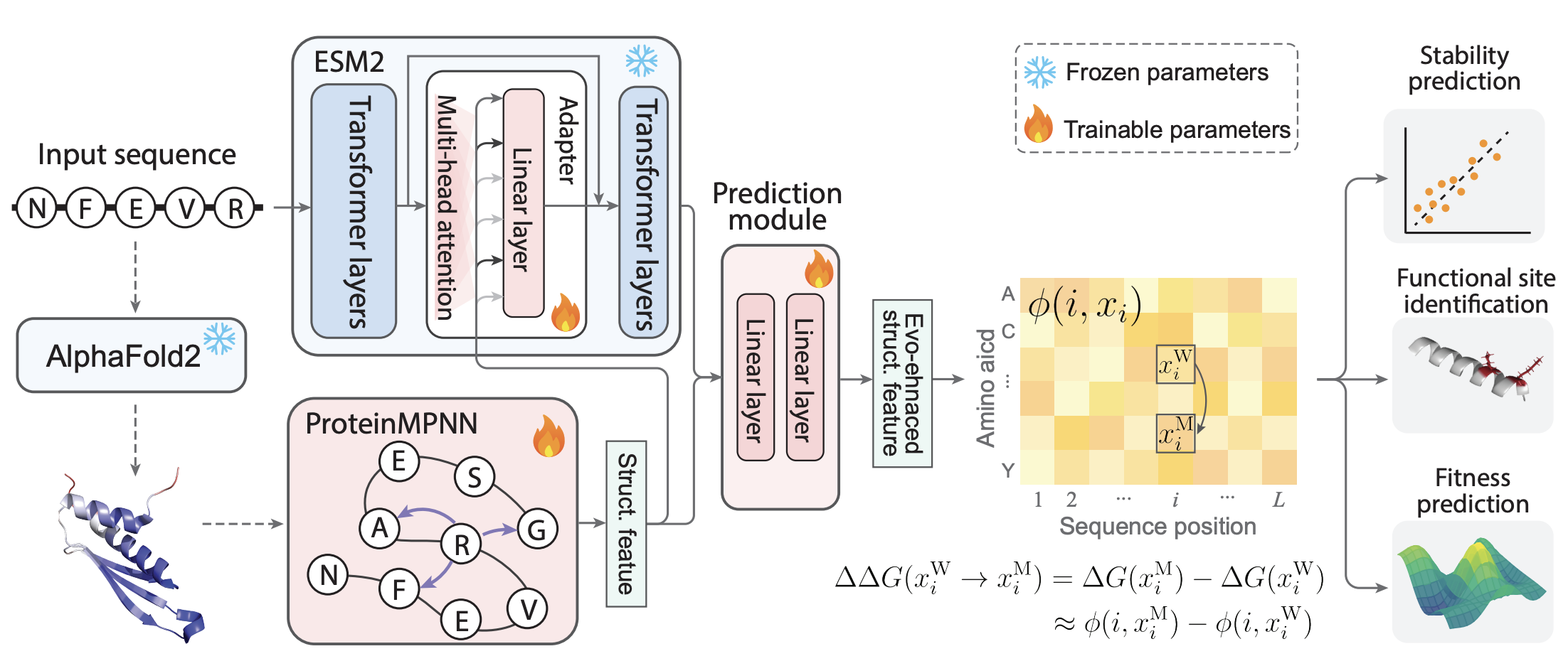 Overall setup of the SPURS neural network