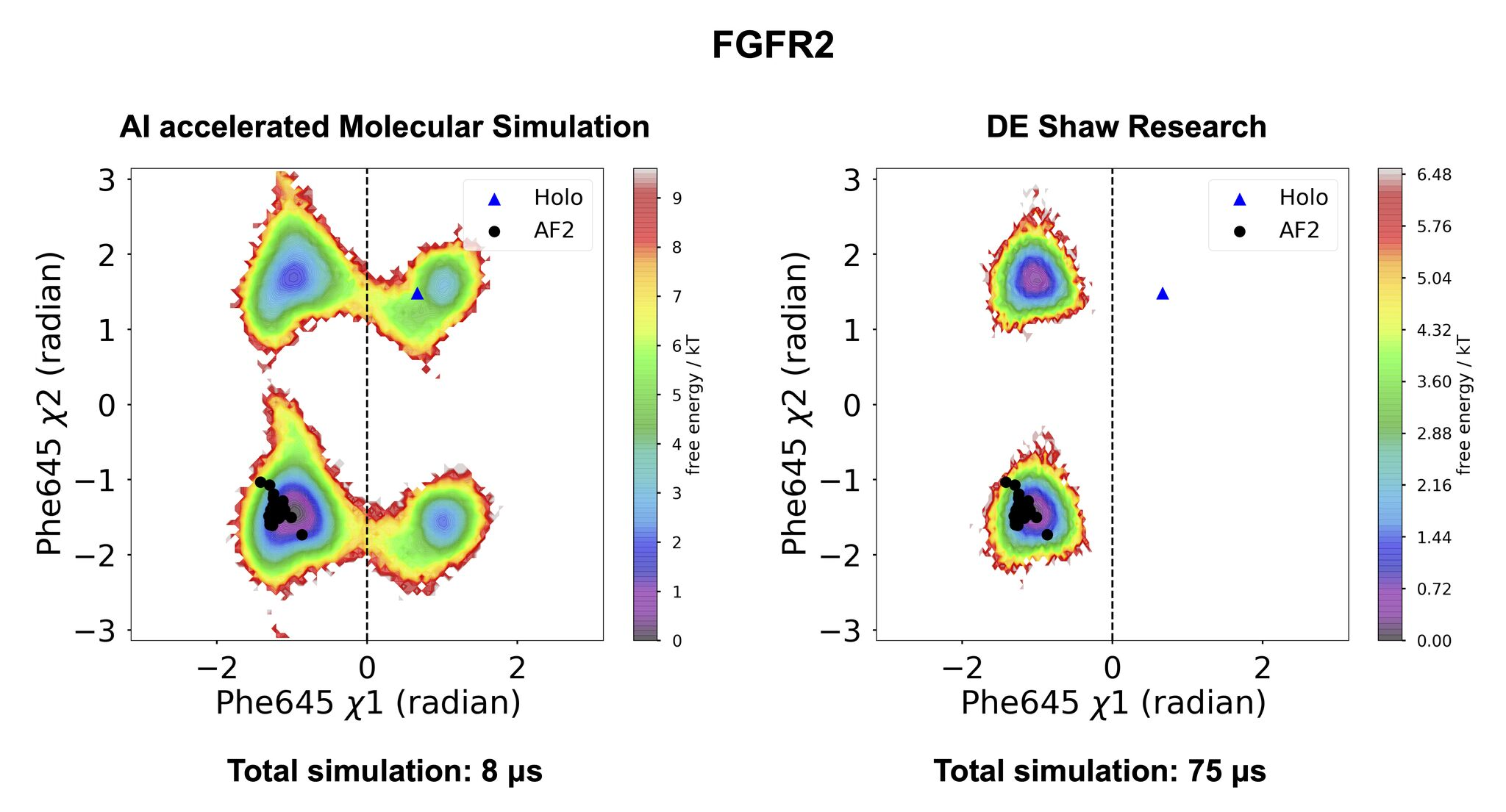 Example of collective variables in FGFR2